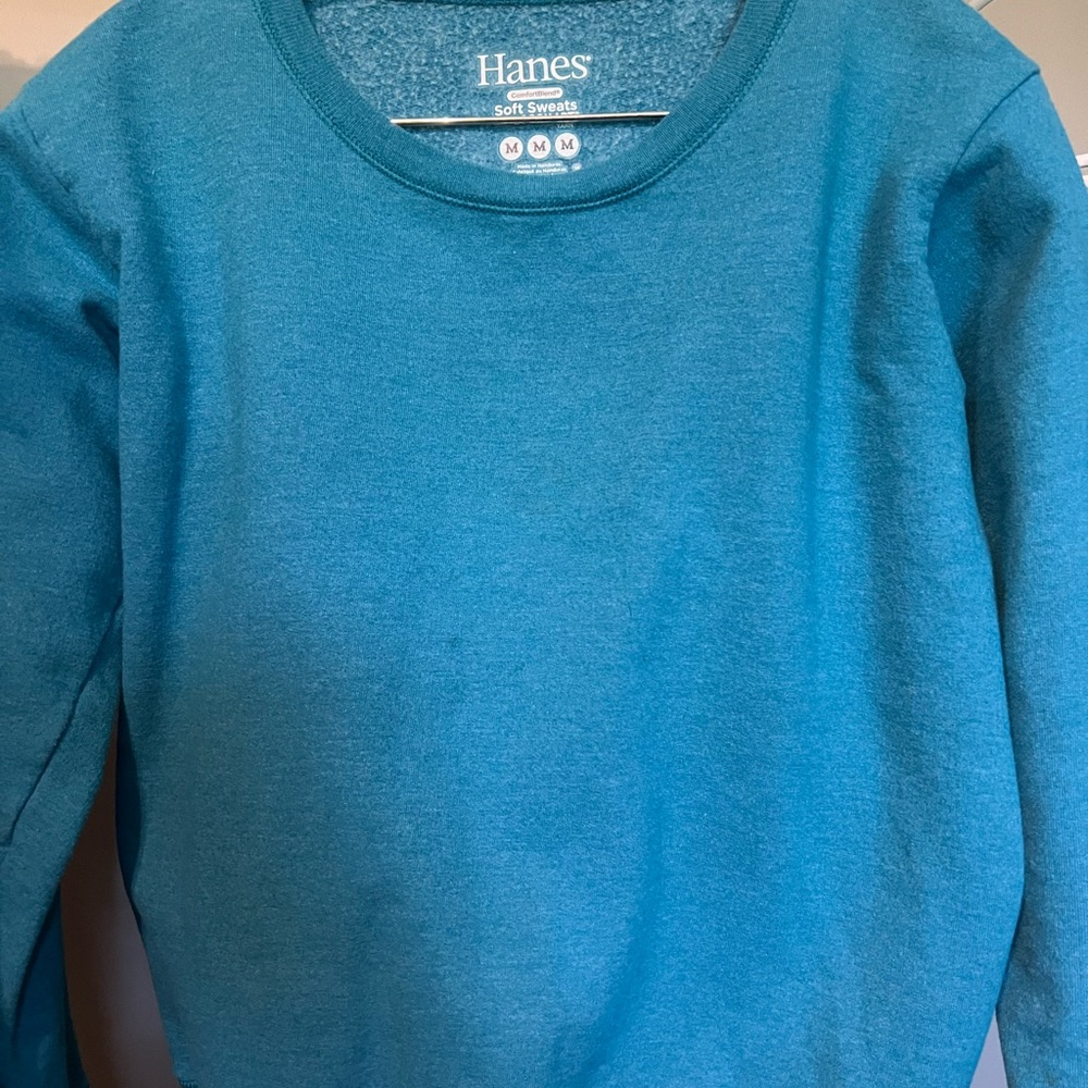 Hanes EcoSmart Teal Soft Sweatshirt